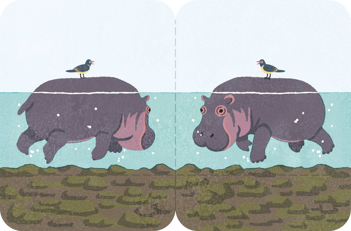 FUTAMATA-FUSEN Decoration Paper Tape Size L - Hippopotamus