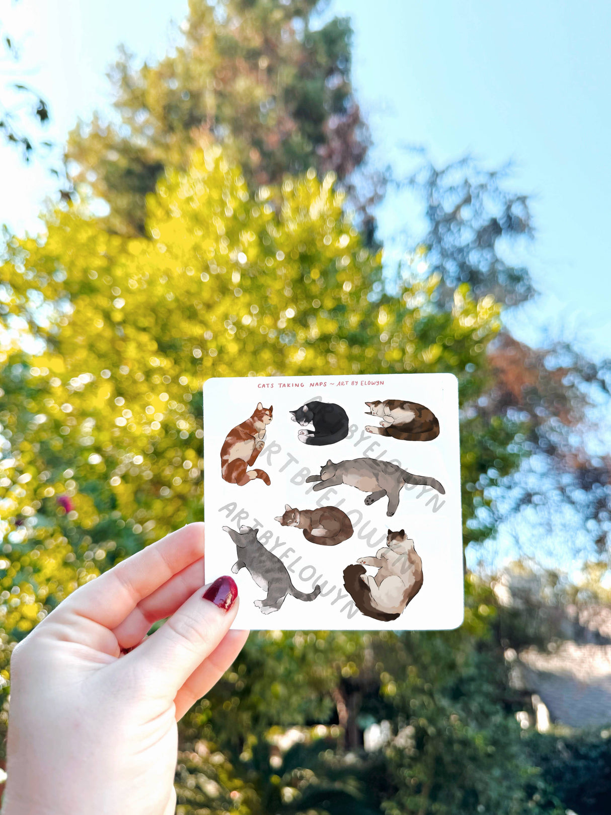Art By Elowyn Mini Cats Taking Naps Sticker Sheets