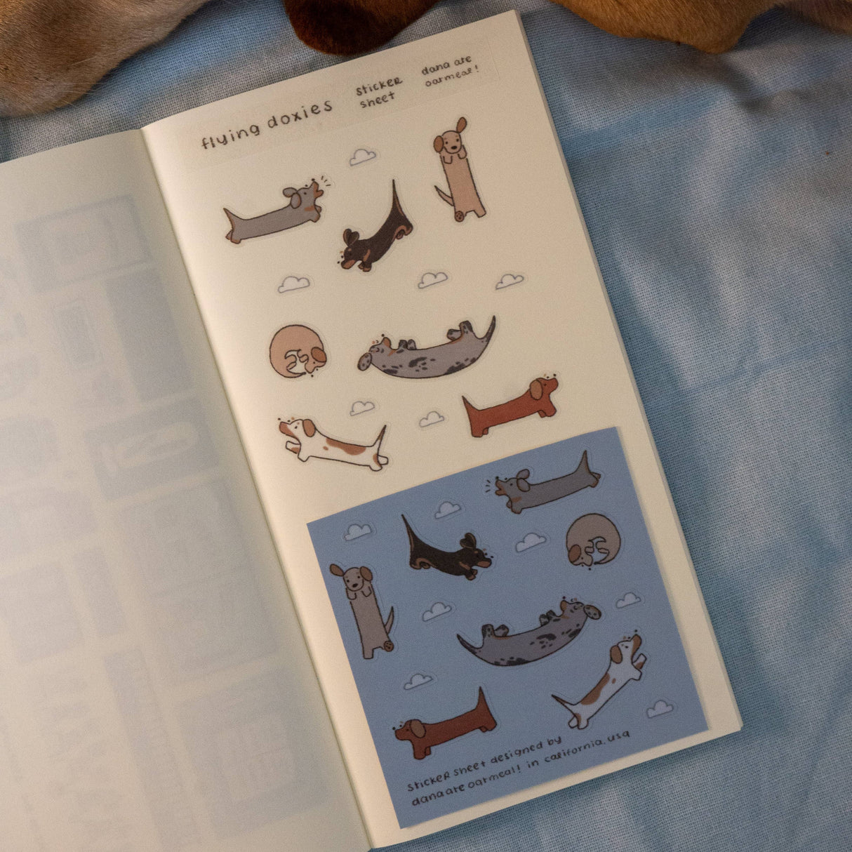 dana ate oatmeal! Flying Doxies PET Sticker Sheet