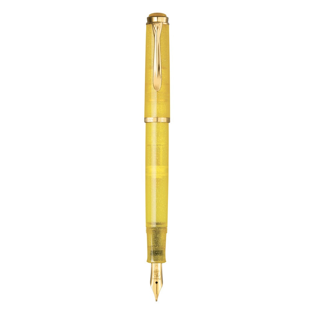 Pelikan Classic 200 Special Edition Pyrite fountain pen, detail view of the barrel and nib