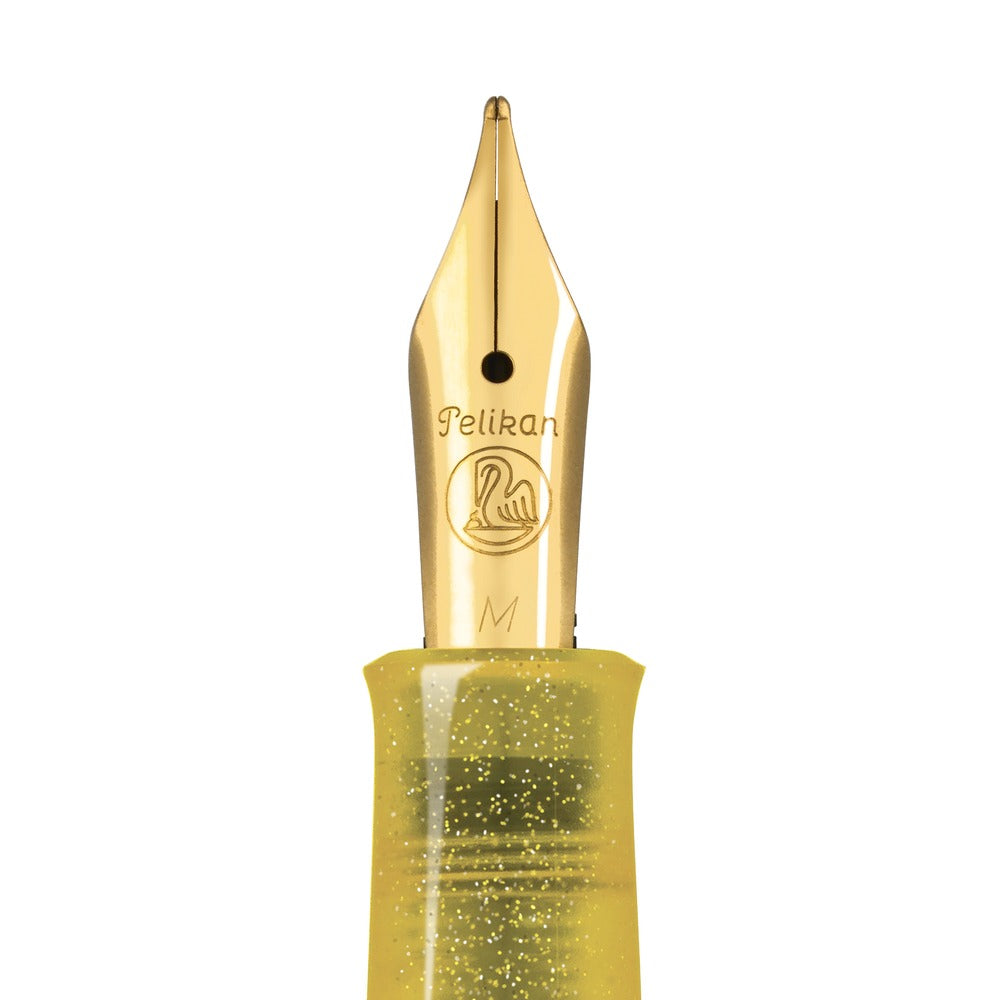 Pelikan Classic 200 Special Edition Pyrite fountain pen, additional detail view