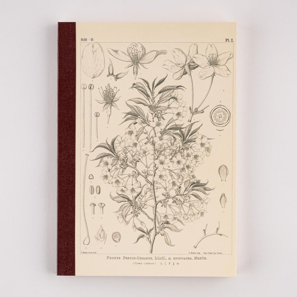 Hobonichi A5 Notebook - Graph - Tomitaro Makino: Yamazakura