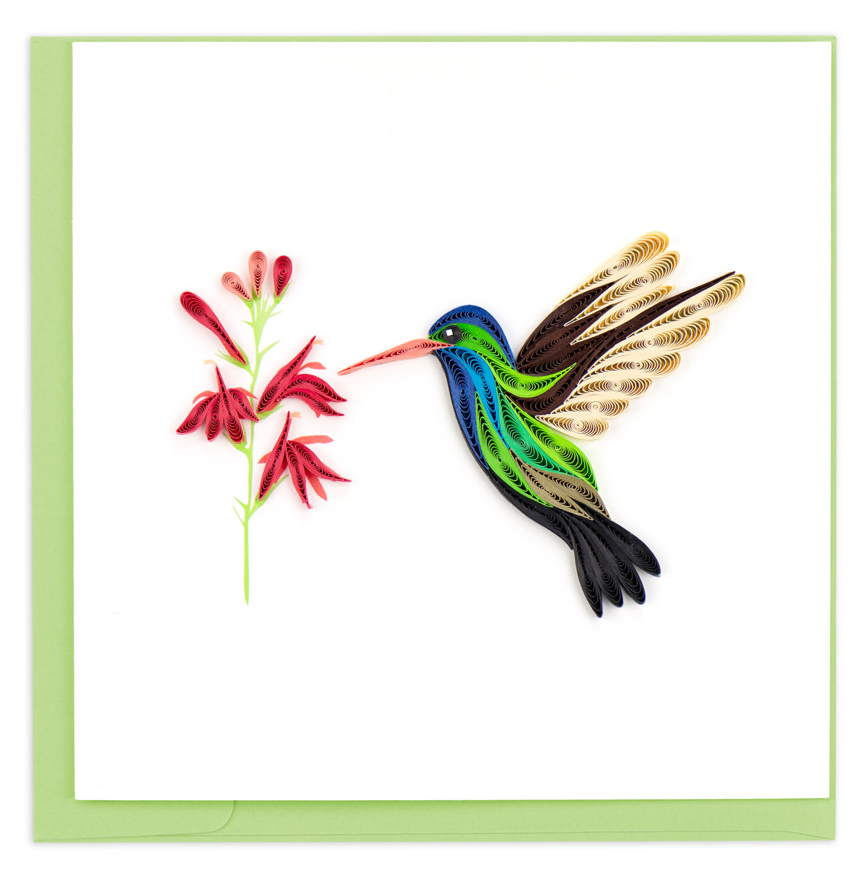Quilled Broad-billed Hummingbird Greeting Card | Atlas Stationers.