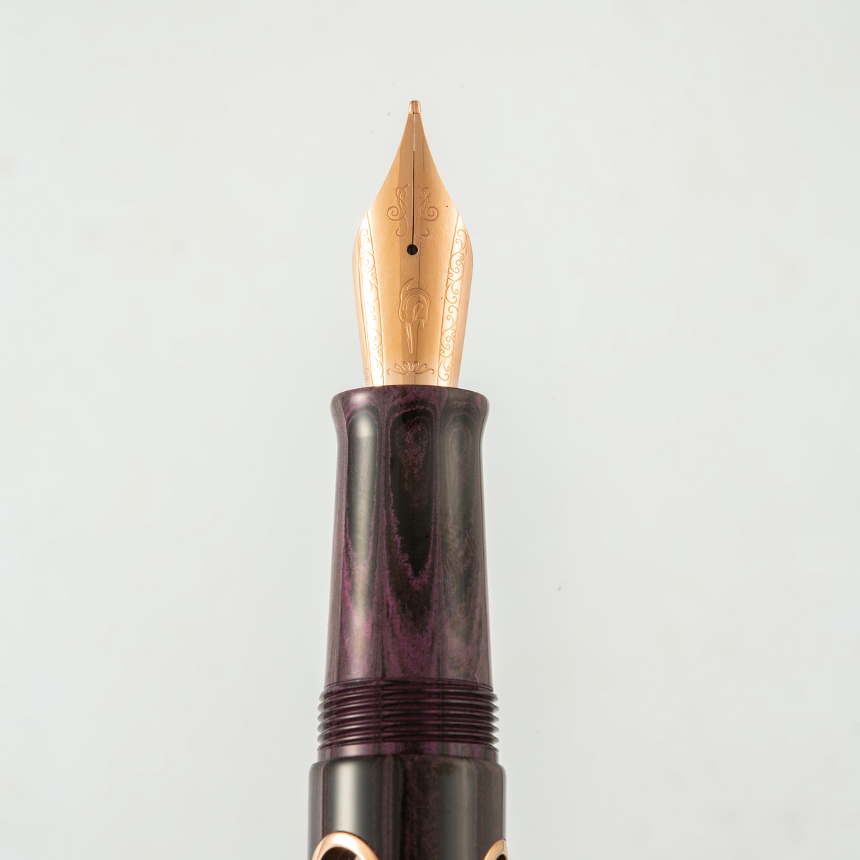 Nahvalur (Narwhal) Nautilus Fountain Pen - Stylophora Berry | Atlas Stationers.