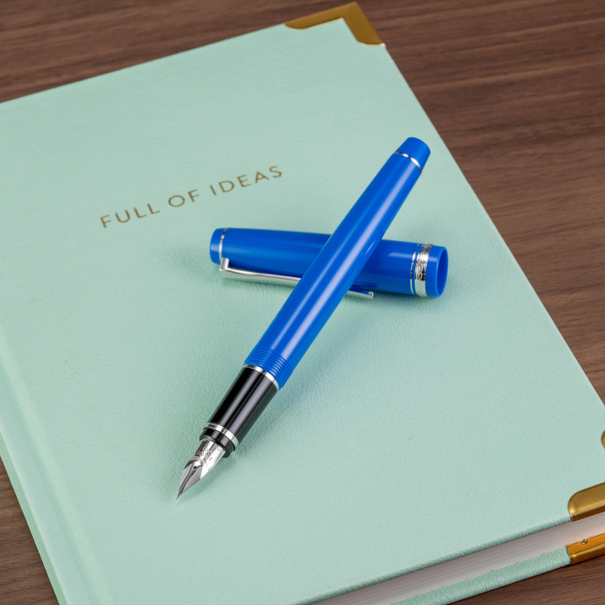 Pilot Falcon Fountain Pen - Blue | Atlas Stationers.