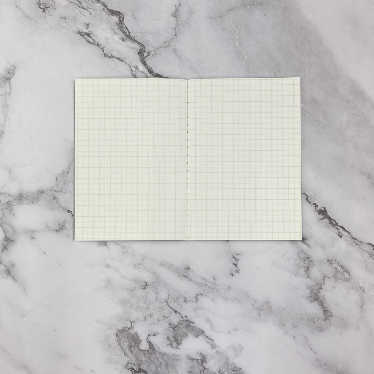 Life Pistachio Notebook - A6 - Grid