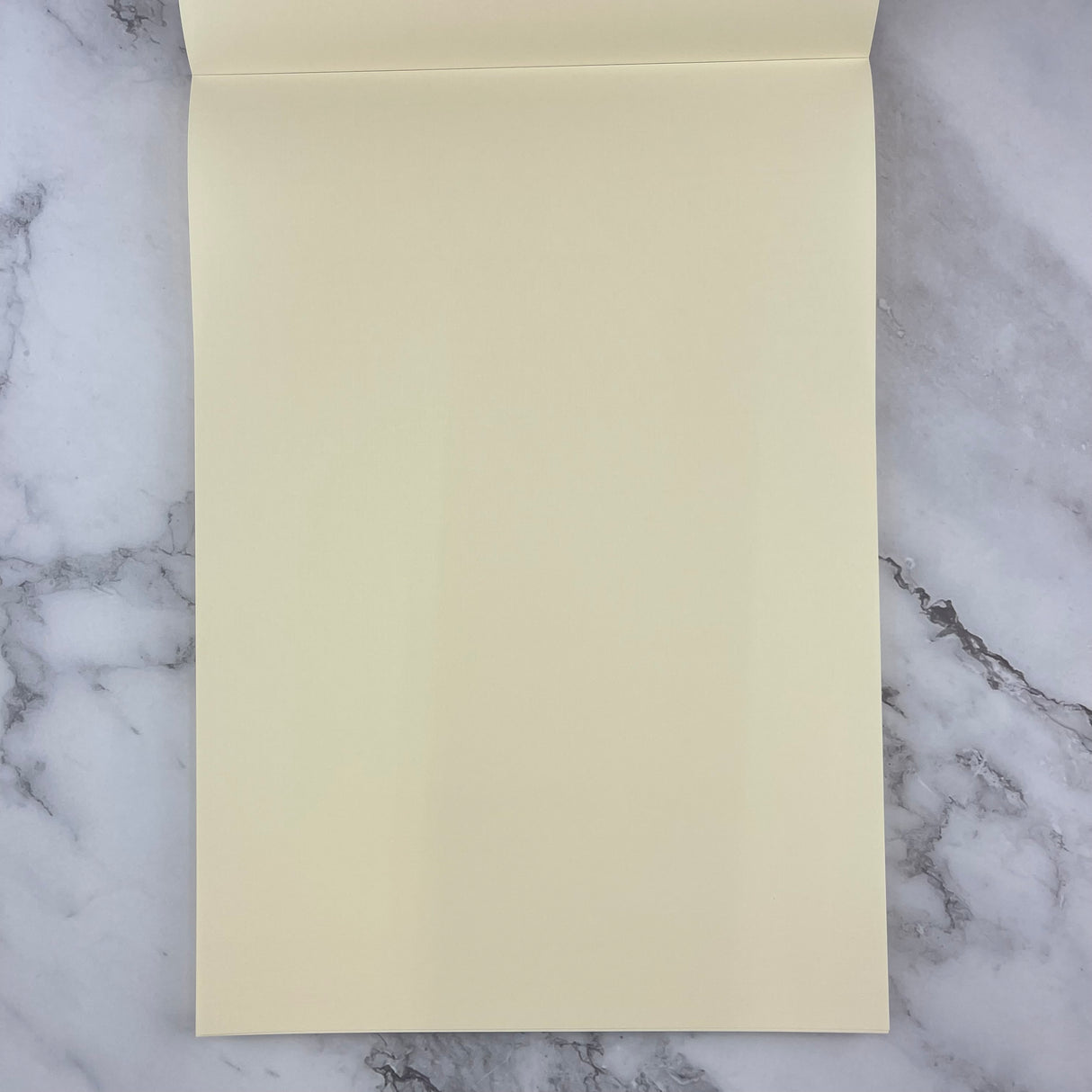 Life Noble Notebook - Brown - Blank - A4 Top-Bound