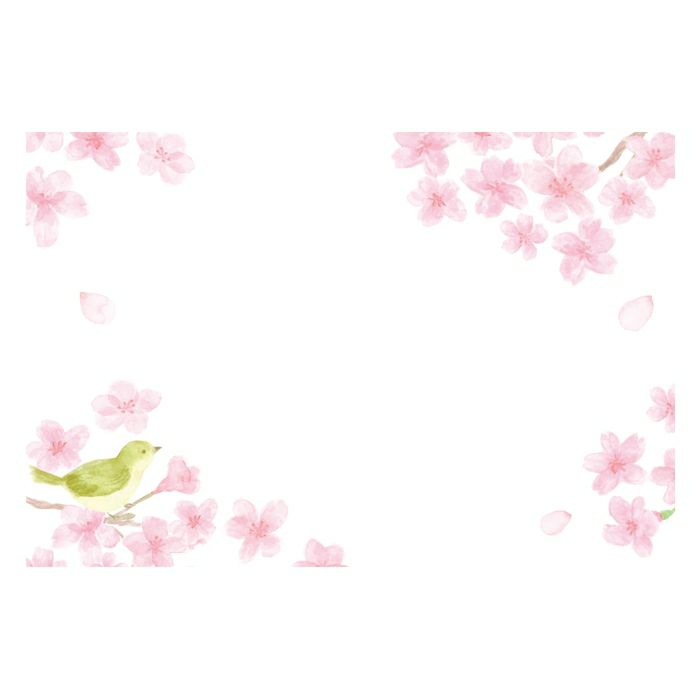 Furukawashiko Today's Letter Set - Cherry Blossom and Japanese Warblers