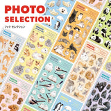 Mind Wave Photo Selection Stickers - Shiba Inu