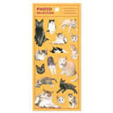 Mind Wave Photo Selection Stickers - Cats