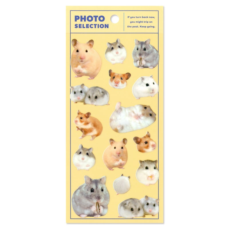 Mind Wave Photo Selection Stickers - Hamster
