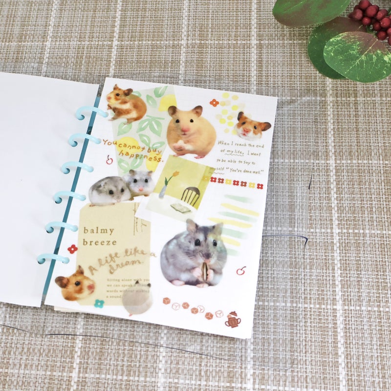 Mind Wave Photo Selection Stickers - Hamster