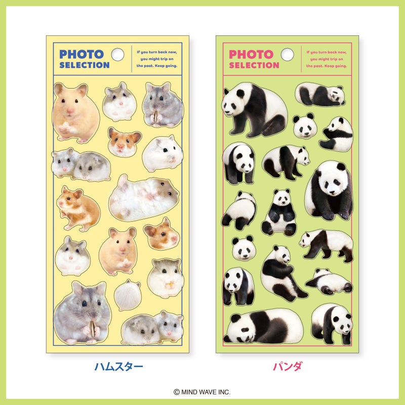 Mind Wave Photo Selection Stickers - Panda