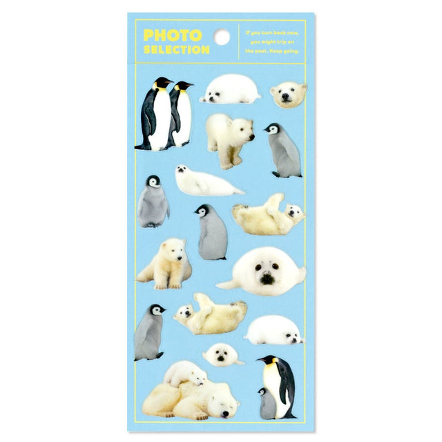 Mind Wave Photo Selection Stickers - Creatures of Cold Places