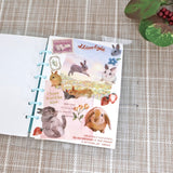 Mind Wave Photo Selection Stickers - Rabbits