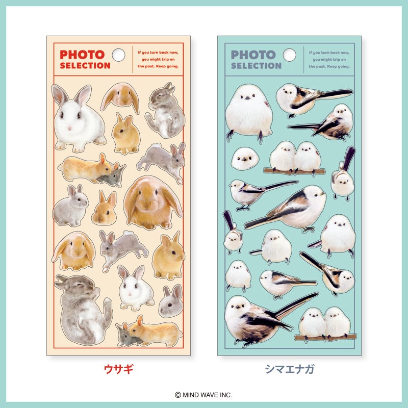 Mind Wave Photo Selection Stickers - Long-tailed Tit