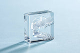KORI JIRUSHI  Crystal Clarity Stamp M size