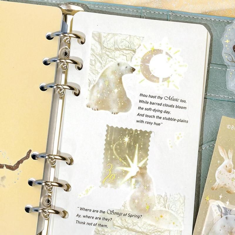 BGM Planner Sticker Flakes - Stardust Magic - Moon