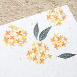 Hyogensha Cozyca Seasonal News Letter Set - Osmanthus