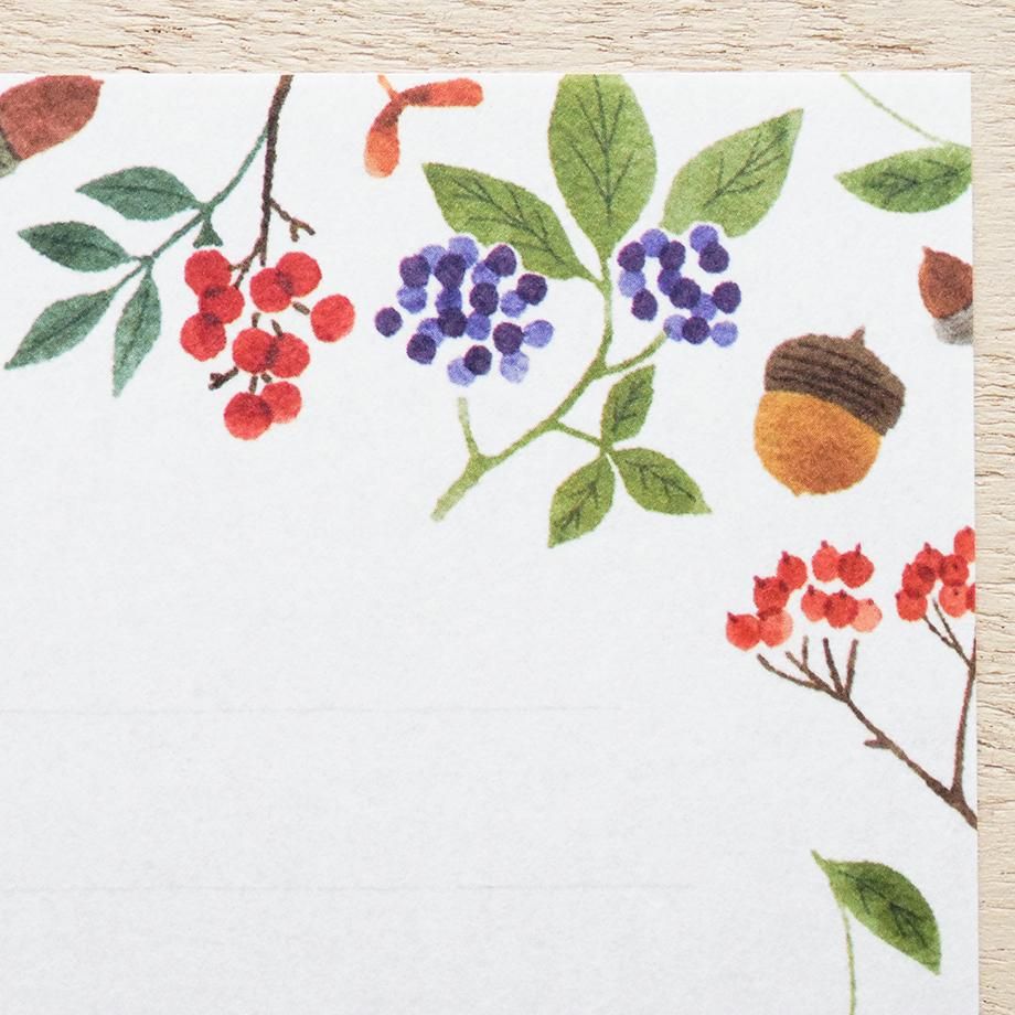 Hyogensha Cozyca Seasonal News Letter Set - Nuts