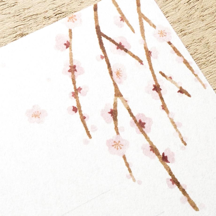 Hyogensha Cozyca Seasonal News Letter Set - Weeping Plum Blossom
