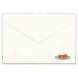 NB Envelopes - Ressa - A Sea Otter and Shell Madeleines