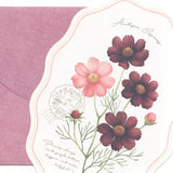 NB Mini Letter Set - Hana Yosoou - Cosmos