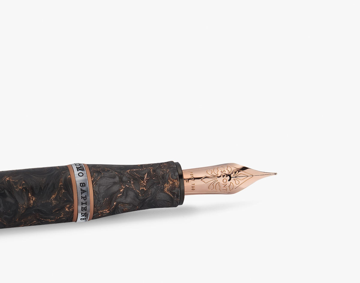 Visconti Homo Sapiens Fountain Pen Carbon Rose 18kt rose gold nib