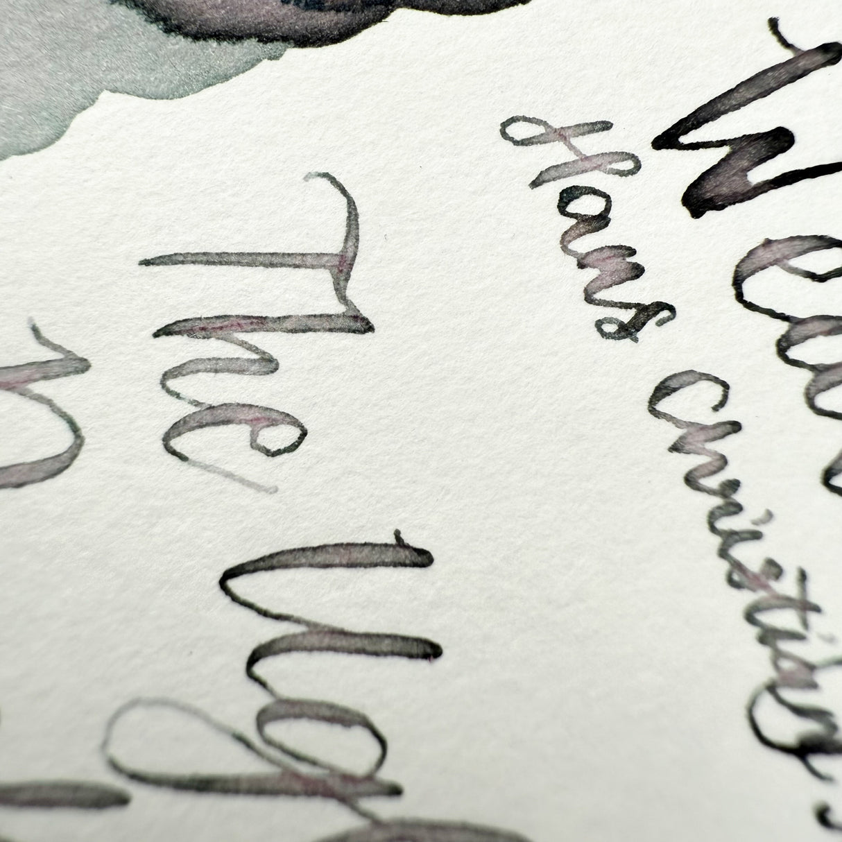 Wearingeul The Ugly Duckling - 30ml Bottled Ink