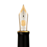 Pelikan Souveran M1000 Fountain Pen - Raden Stardust “Hoshikuzu" (Limited Edition)