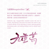 Lennon Tool Bar Bougainvillea - 30ml Bottled Ink