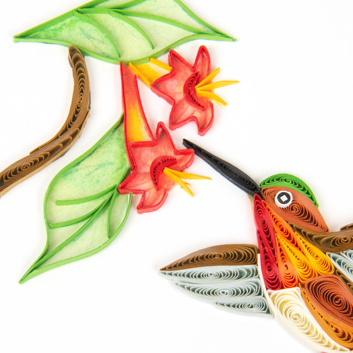 Quilled Rufous Hummingbird Greeting Card