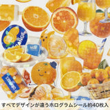 Hako Sticker Orange