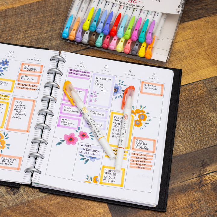 Zebra MILDLINER Dual-Tip Brush Pen - Assorted 25 Pack (Doorbuster)