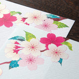 Midori Letter Pad - Silk Printing Cherry Blossom