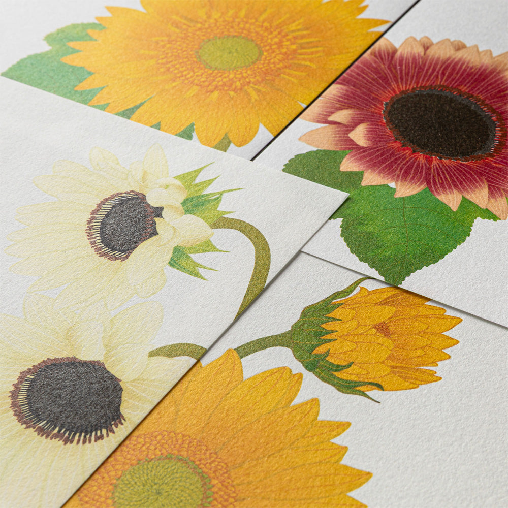 Midori Letter Pad - Sunflower