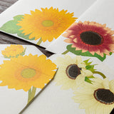 Midori Envelope - Sunflower