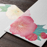 Midori Envelope - Confederate Rose