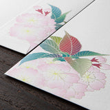 Midori Envelope - Silk-Printing Ball-Shaped Cherry Blossom