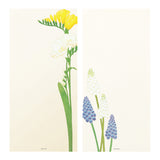 Midori Message Letter Pad - Four Designs Spring Flower White