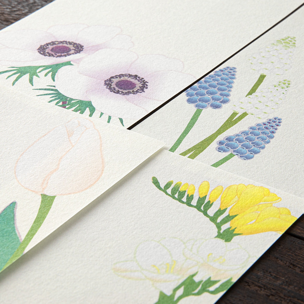 Midori Message Letter Pad - Four Designs Spring Flower White