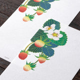 Midori Message Letter Pad - Foil-Stamping Strawberry
