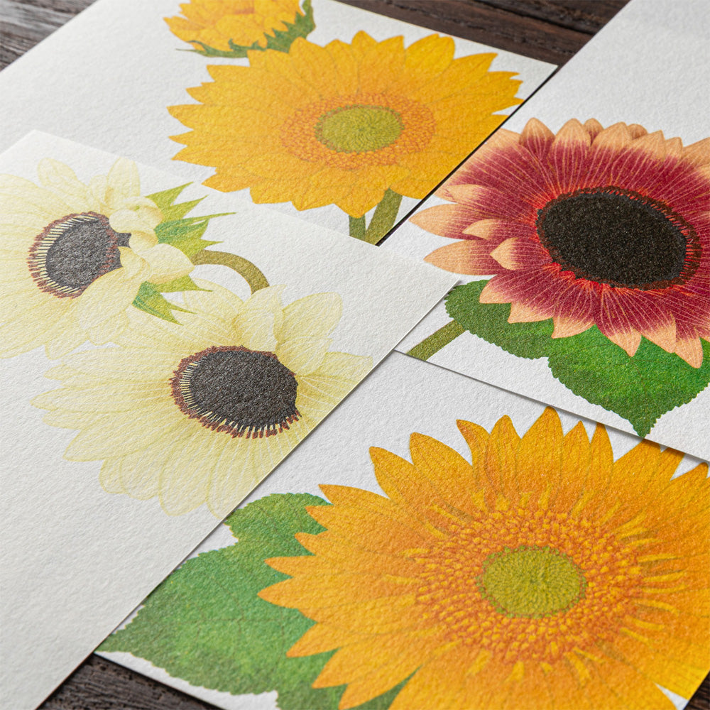Midori Message Letter Pad - Sunflower