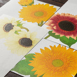 Midori Message Letter Pad - Sunflower