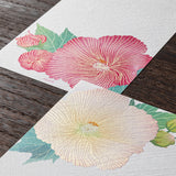 Midori Message Letter Pad - Confederate Rose