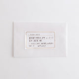 Green Flash Animal Department Store Letter Set - Chinchilla