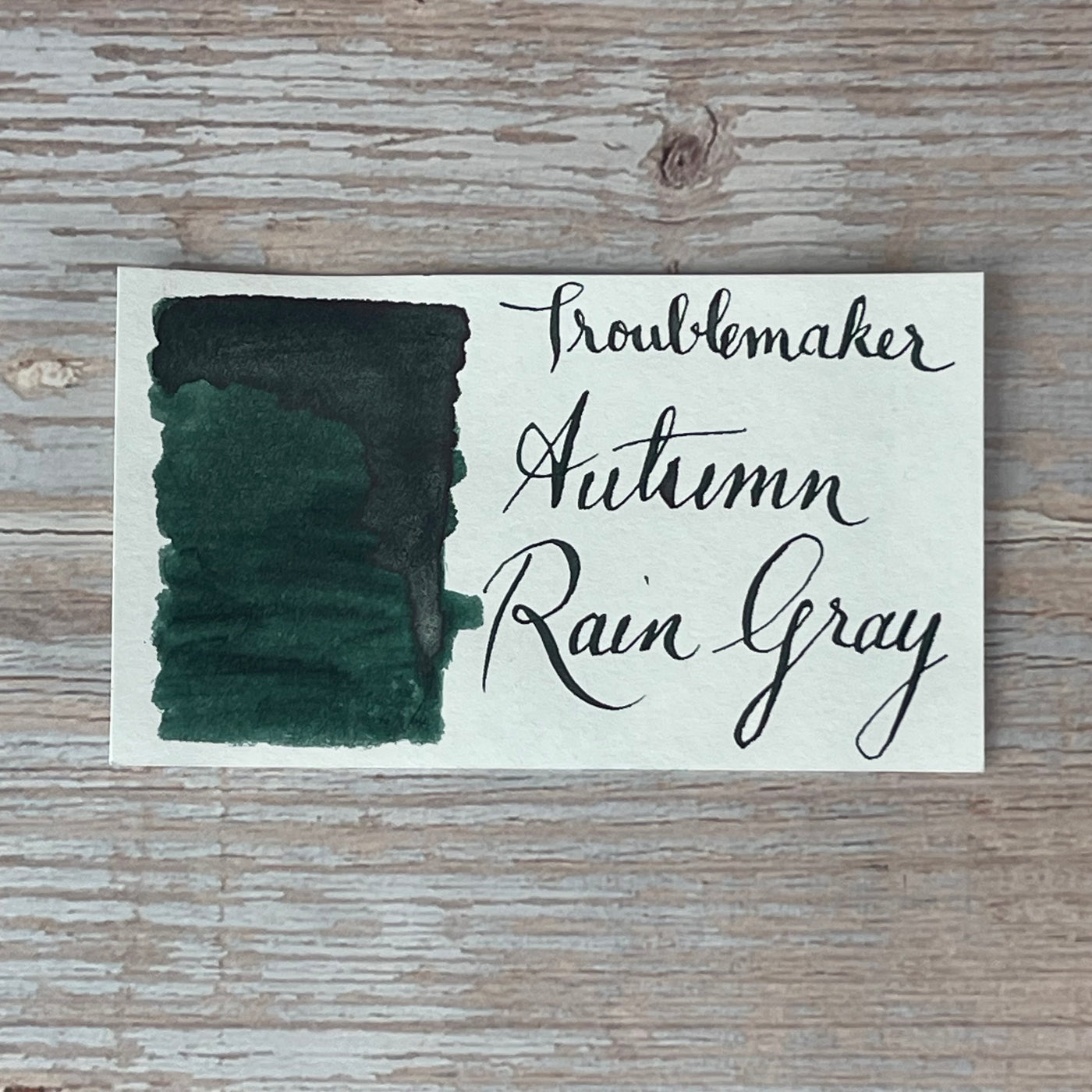 Troublemaker Autumn Rain Gray - 60ml Bottled Ink