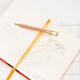 Blackwing x Audubon Birding Journal