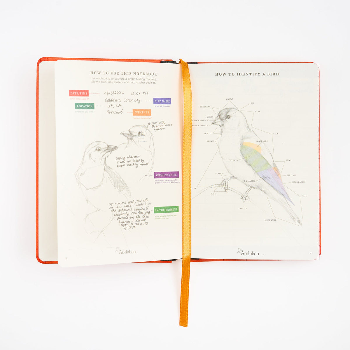 Blackwing x Audubon Birding Journal