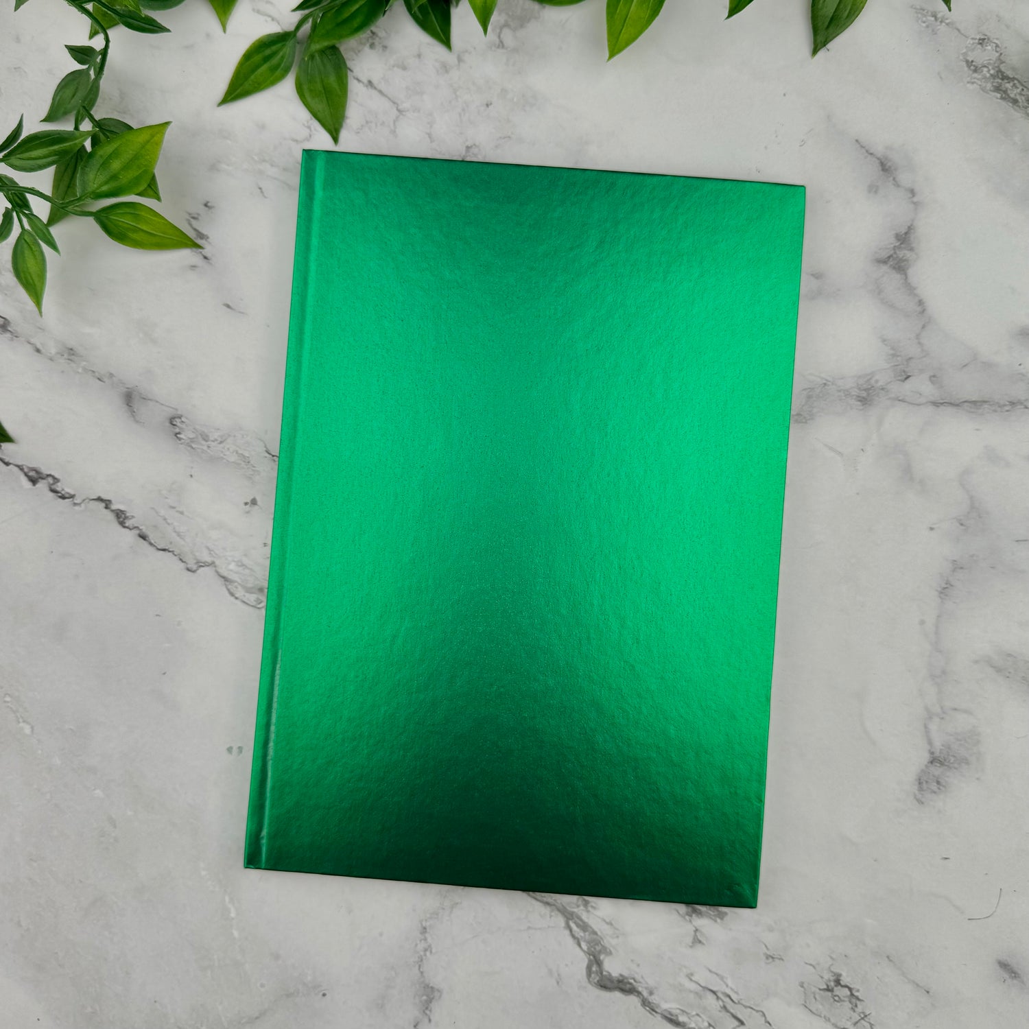 Caran d'Ache COLORMAT-X Notebook - Ruled